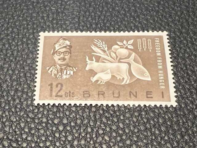 Brunei 100 MH