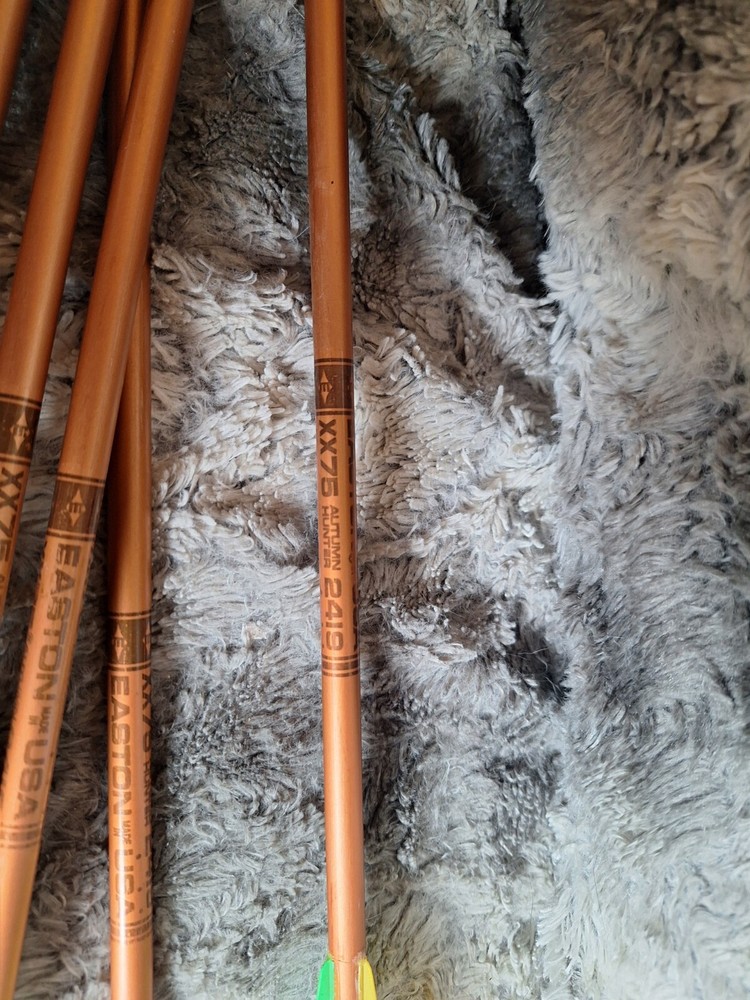 Bear Flare II Compound Bow Camo