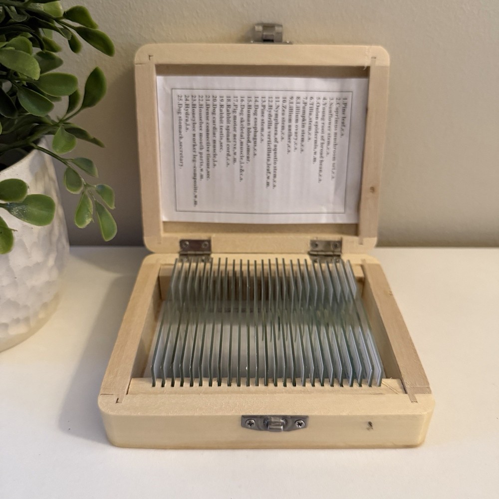 AmScope PS25 Prepared Microscope Slide Set