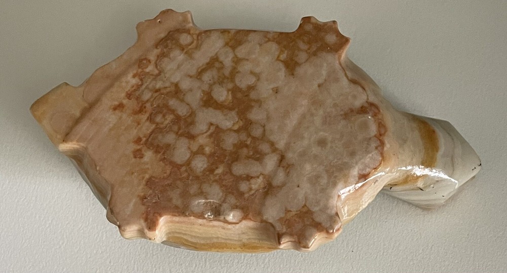 4”Agate/Onyx Turtle Shaped Paperweight
