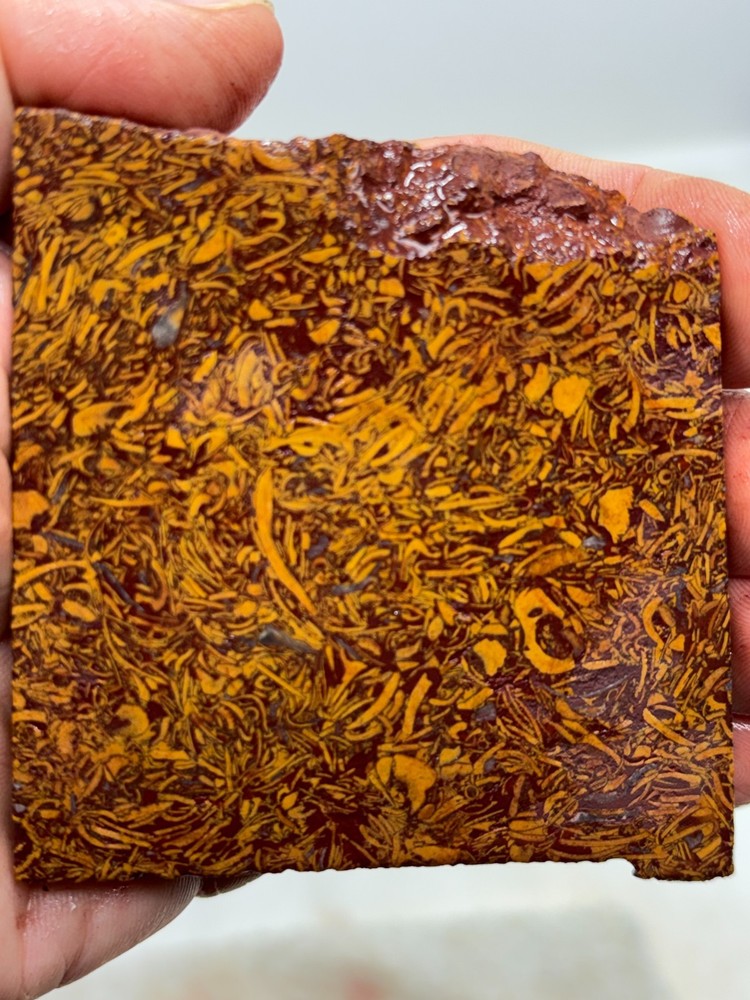 Script Stone Jasper Slab Cabbing Lapidary Collecting Combo Ship Avail