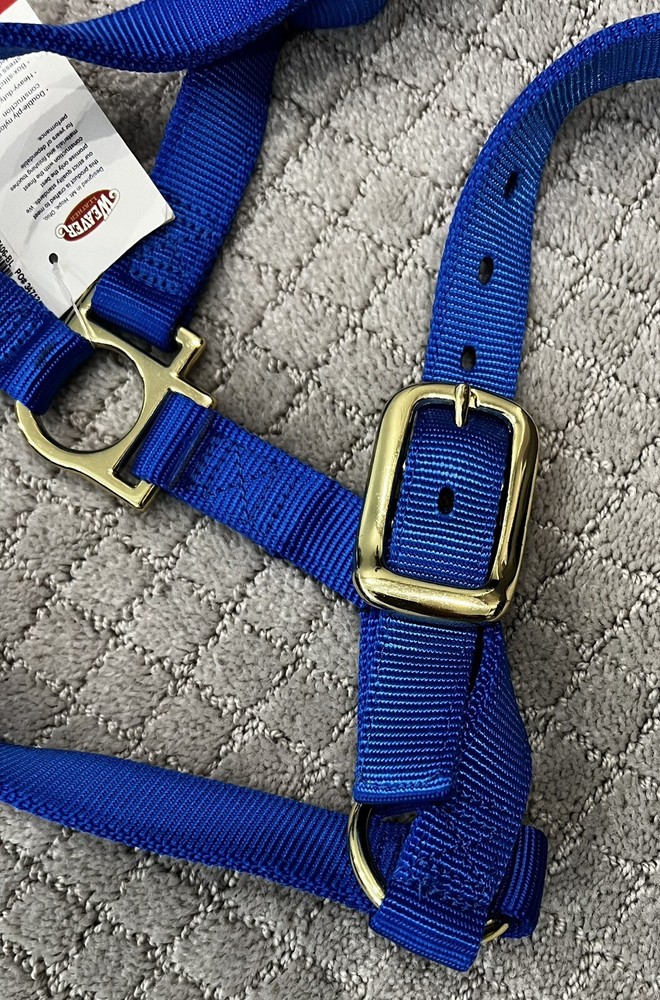 Weaver Leather Blue Basic Non-Adjustable Nylon Horse Halter, 1" Size: Large New!