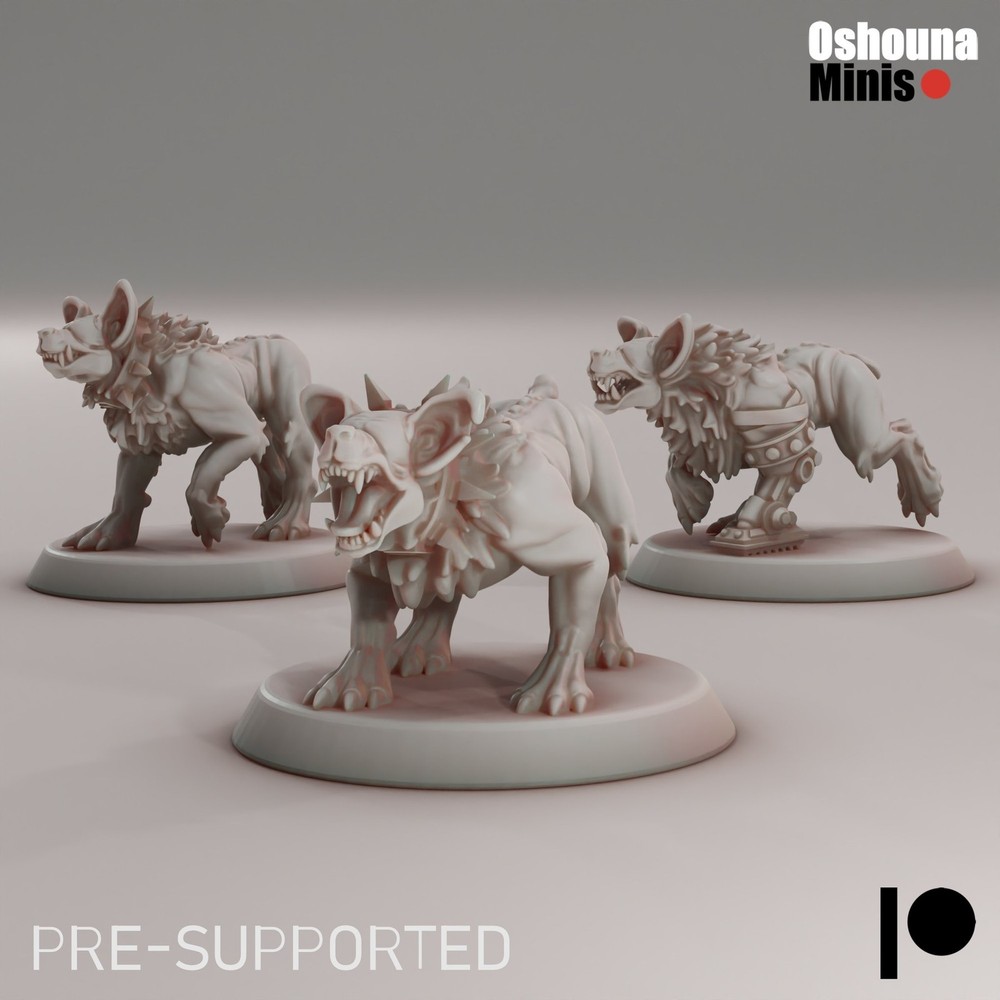 CHAOS ECHO HOUNDS