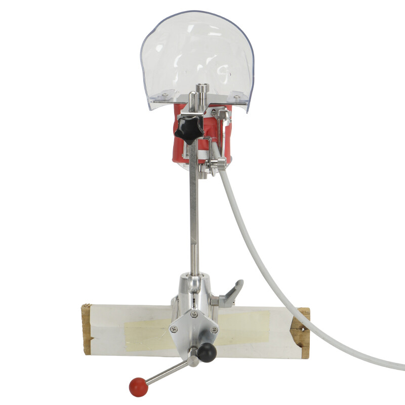 Dental Simulator Manikin Phantom Head Model Teeth Model for Training & Practice
