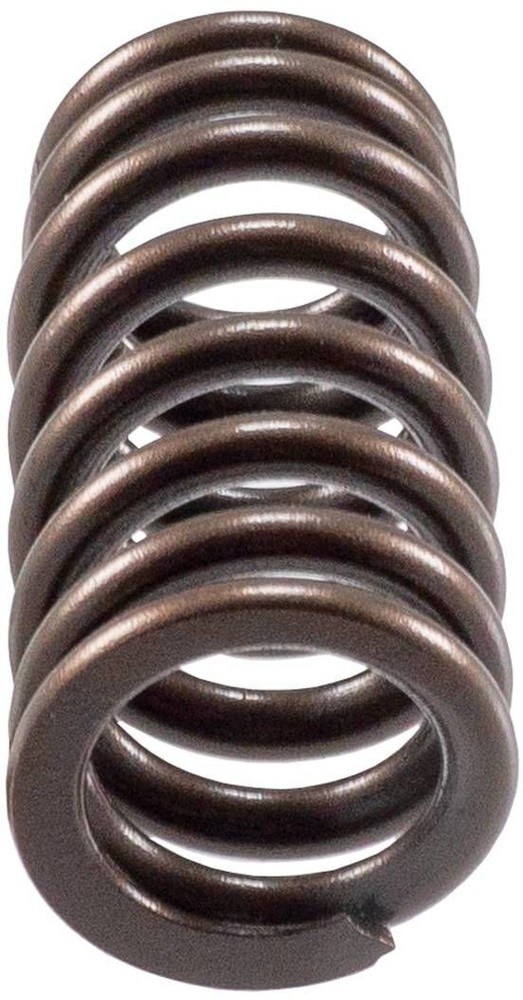 Engine Valve Spring-Stock Melling VS-2484