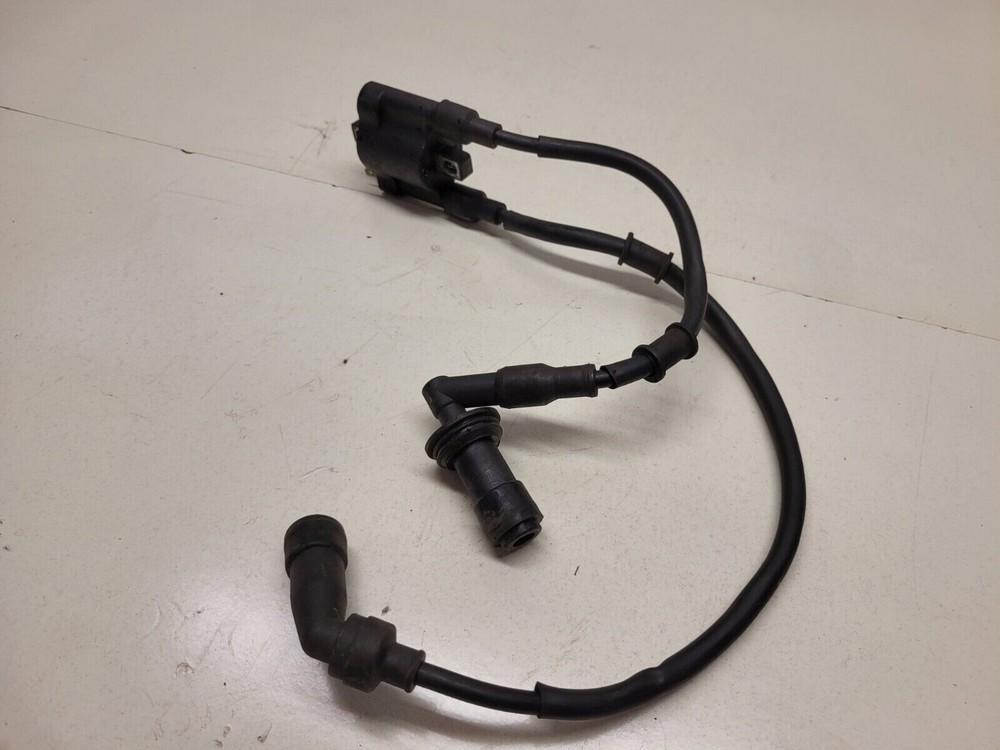 KEEWAY RKF125 COILS 2020 (8231)