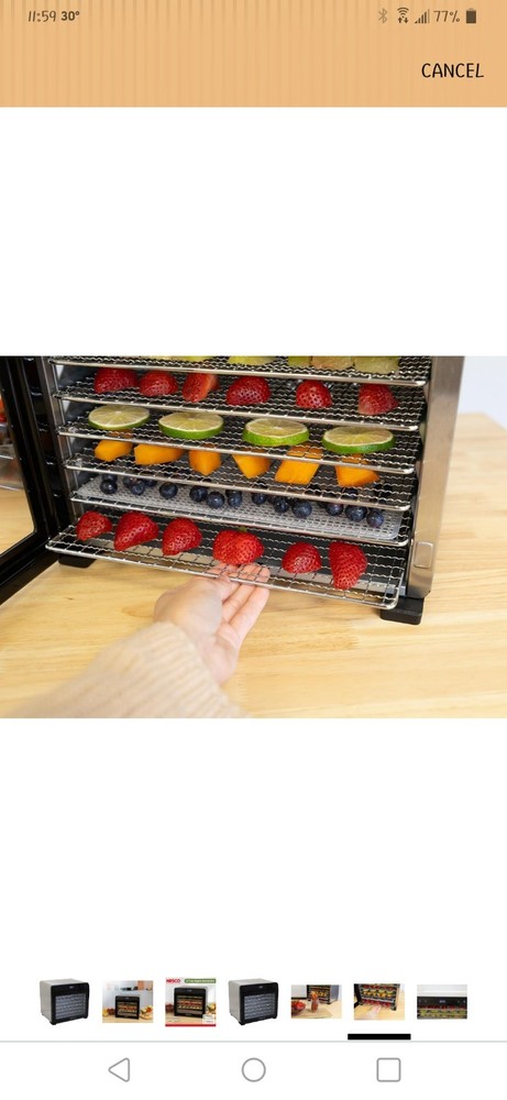 8-Tray Digital Dehydrator, Stainless Steel