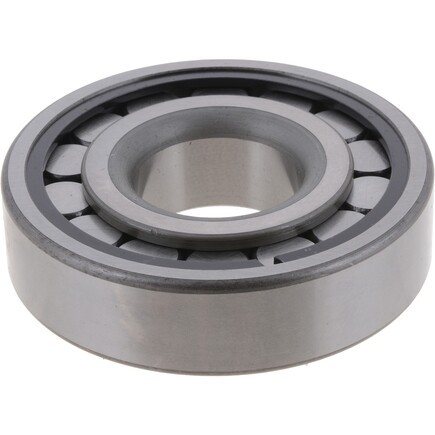 Differential Pilot Bearing DANA Spicer 126187