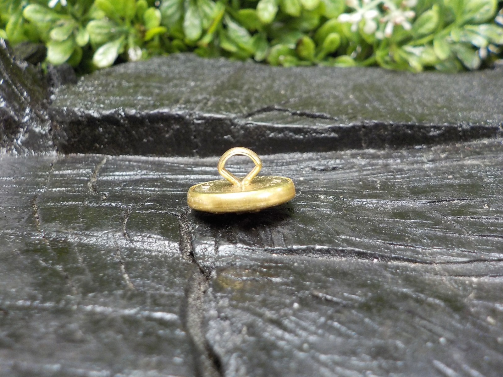 Texas State Seal Vest Button Loaded with Gold in Color w/ Free Button Case