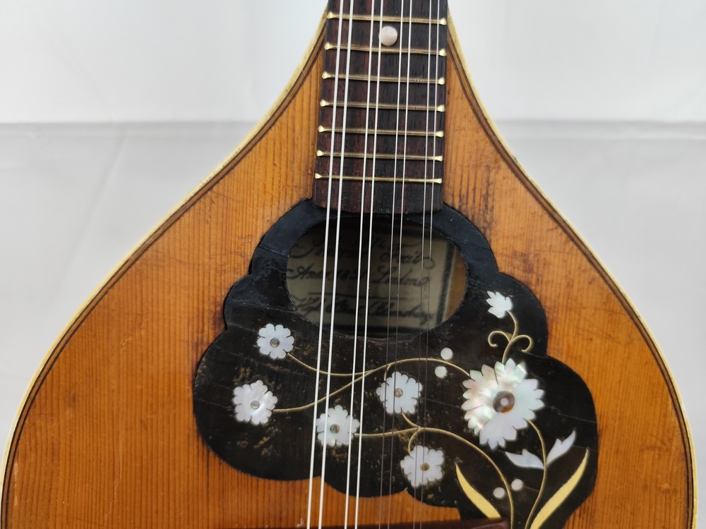 Mandolin 4/4 Panormo London 1974 曼陀林 만돌린マンドリン