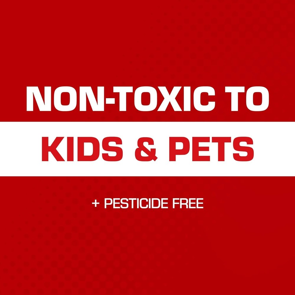 Ready-to-Use Eugenol Mouse Glue Traps – 6 Disposable Pest Control Solutions