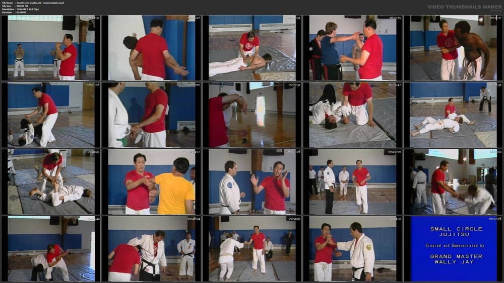 Small Circle Jujitsu starring Wally Jay (5 DVD Set)