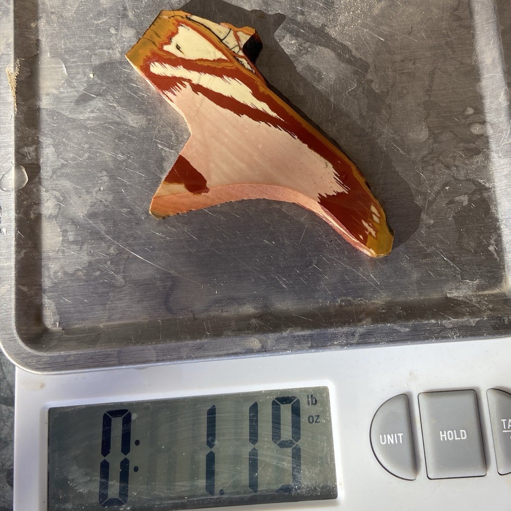 Striking Owyhee Picture Jasper Rough Slab