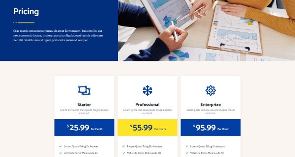 Premium Wordpress Elementor Template Kit Bundle | Finance & Law Firm theme