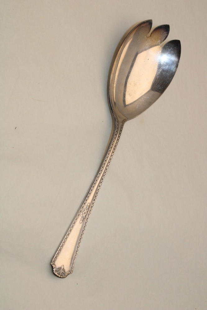 WM A Rogers AA Berkley Pattern Salad Serving Spoon No Monogram