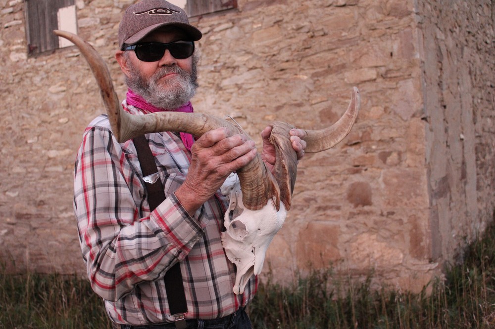 Goat Head Skull Horns