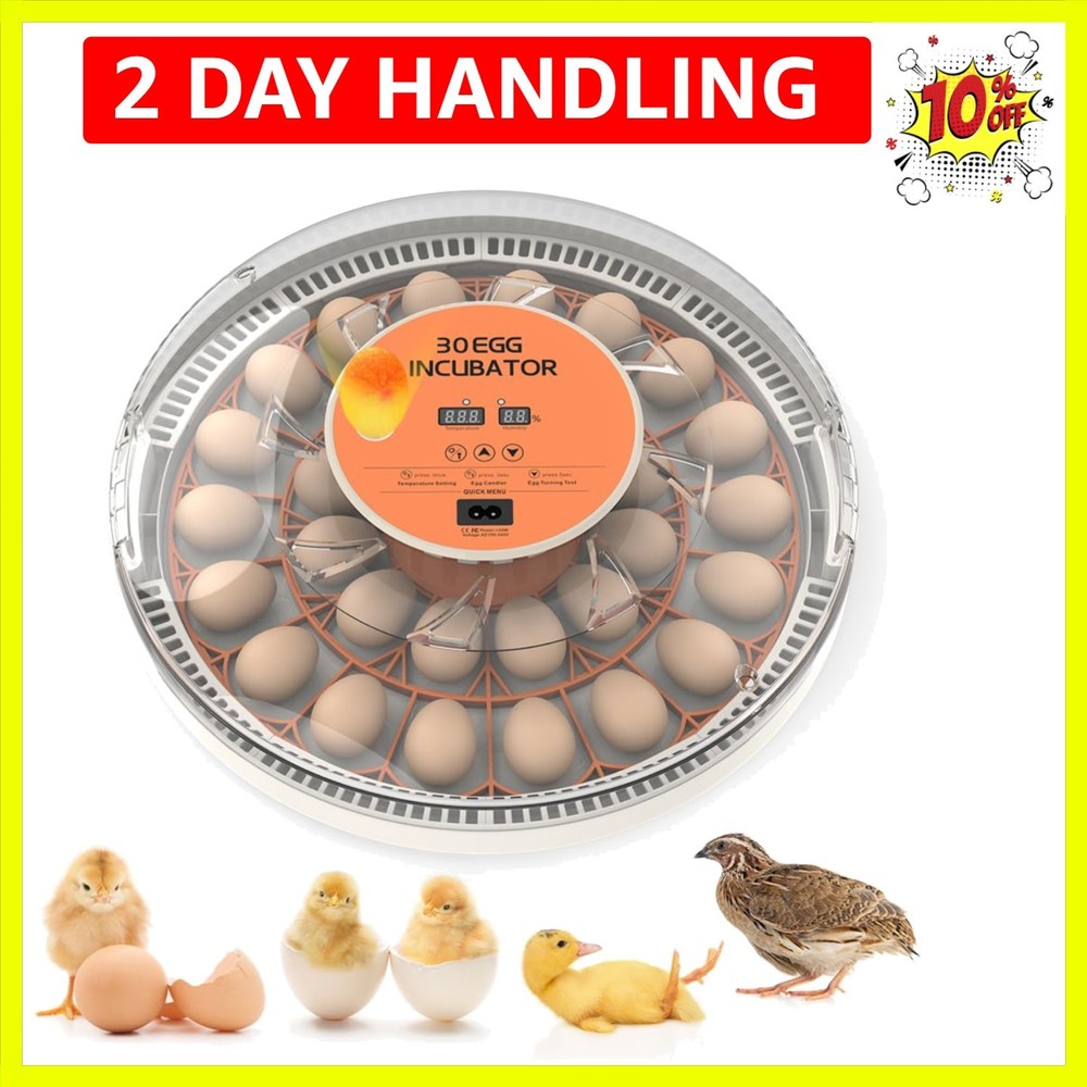 incubators for Hatching Eggs，30 Egg Incubator,Egg Incubator with Automatic Eg...