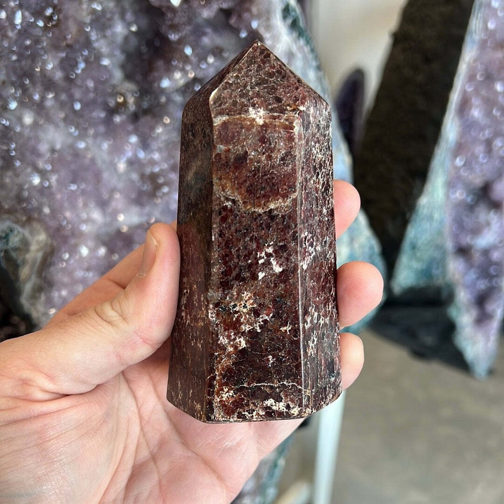 Garnet Tower D