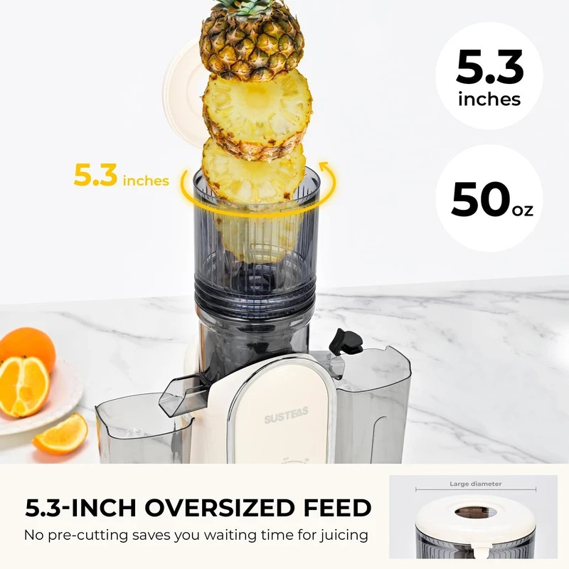 Cold Press Juicer 300W 5.3 inch Large Feed Chute 1.5L Capacity Beige