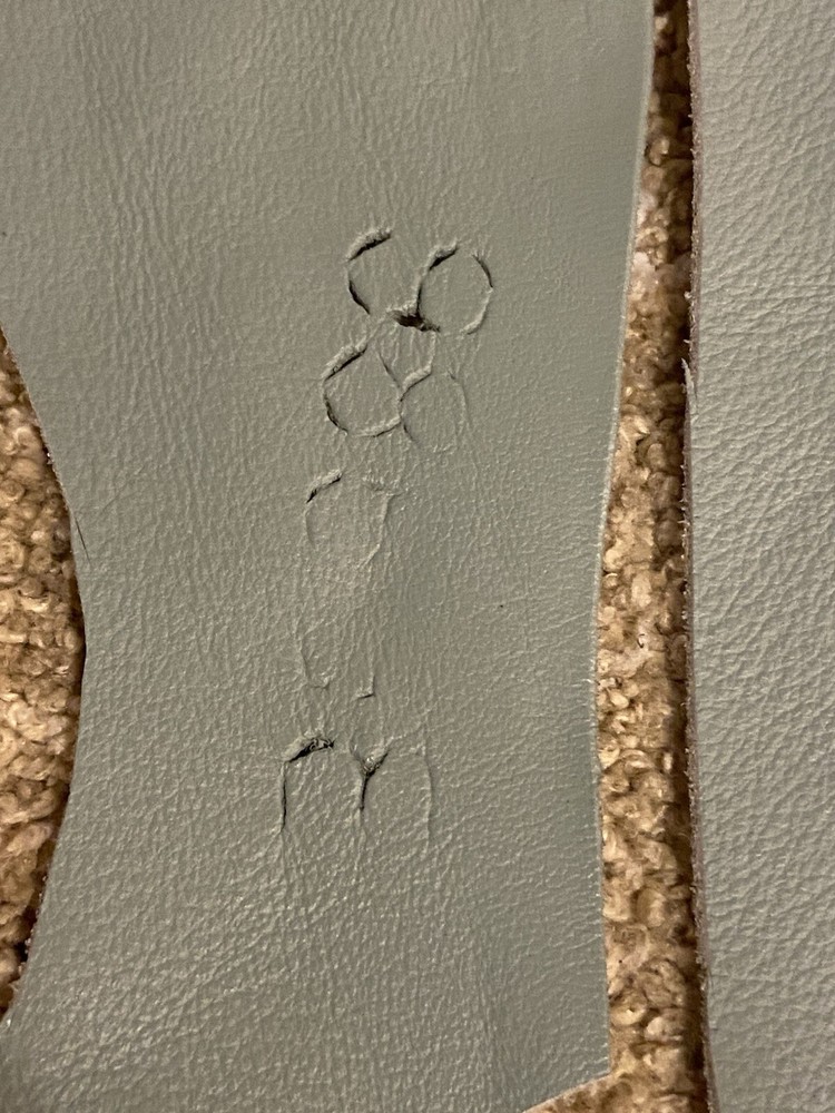 Genuine Light Blue Crafting Leather