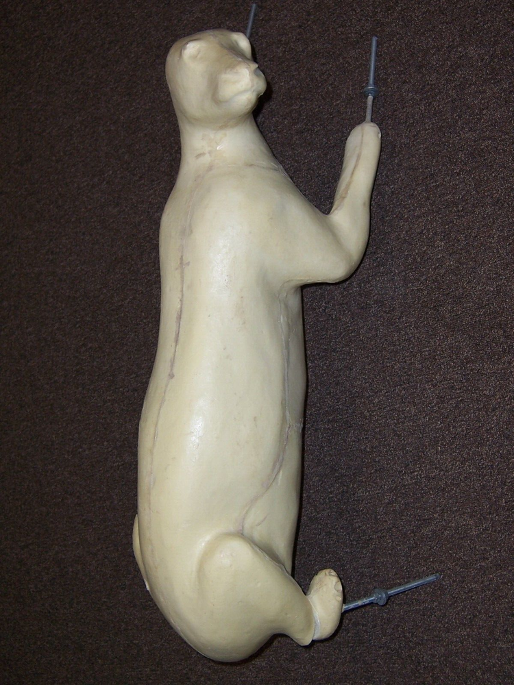 BEAR ..LIFE SIZE TAXIDERMY FORM...BR-36