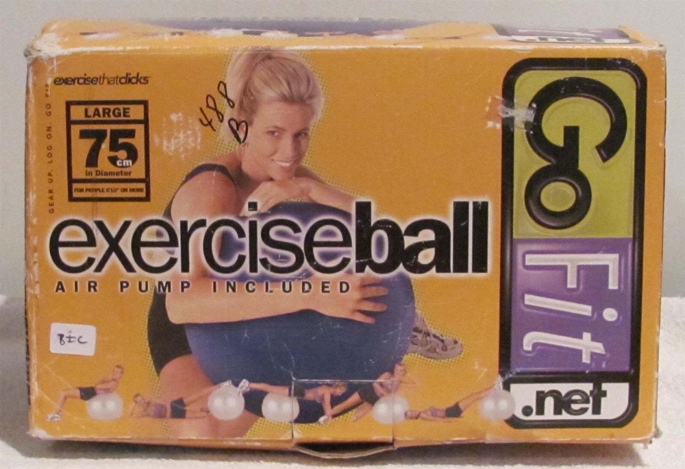 GoFit Exercise Ball (75 cm/29") with Pump-New