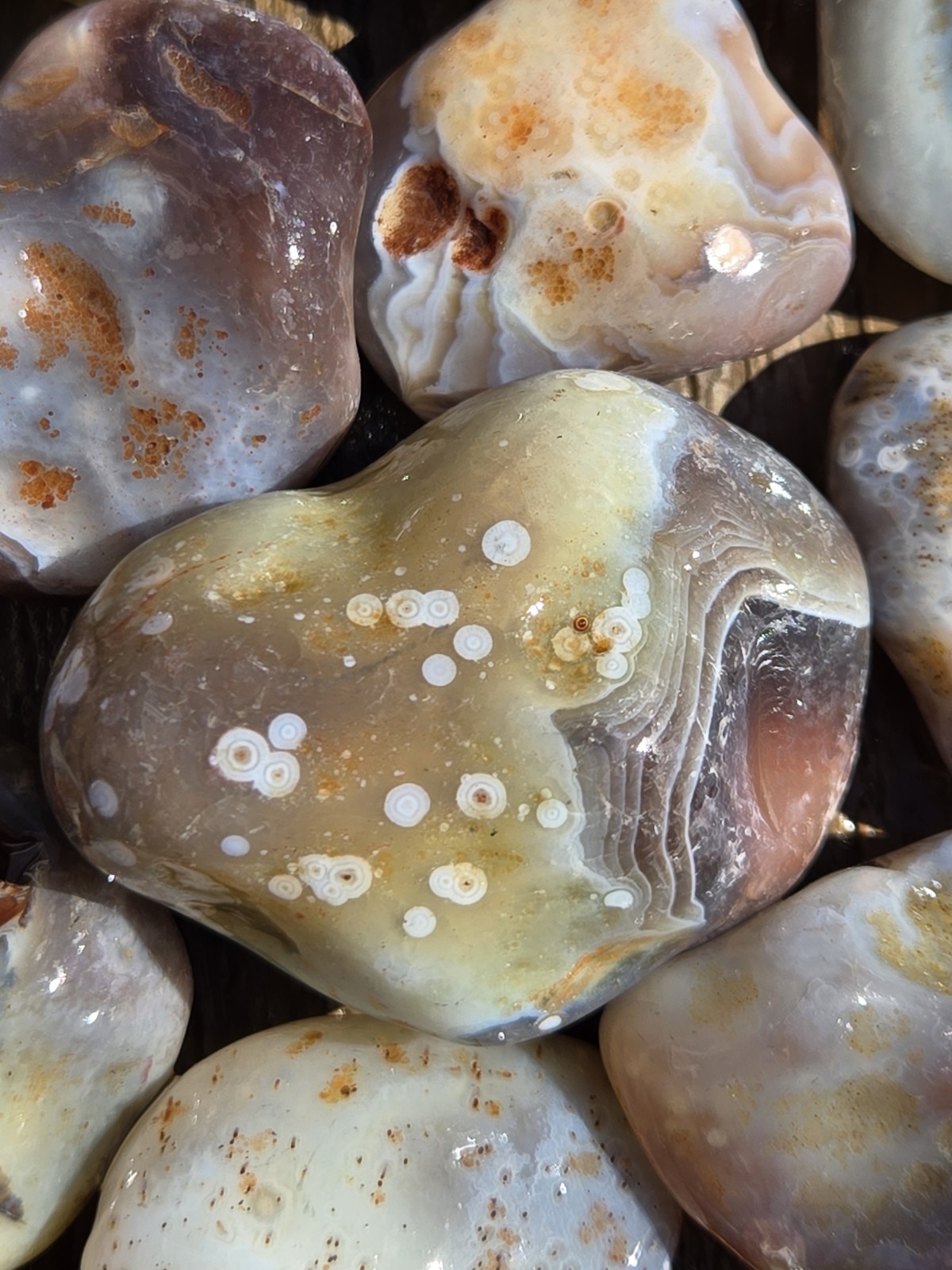Botswana Agate Selects - DOTS AND SPOTS - Rough, Natural, Not Polished A+ Grade