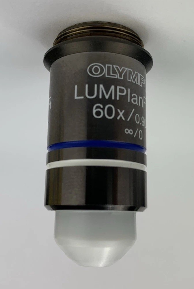 Olympus Microscope Objective LUMPlanFL / IR 60x W Water Immersion RMS Infinity