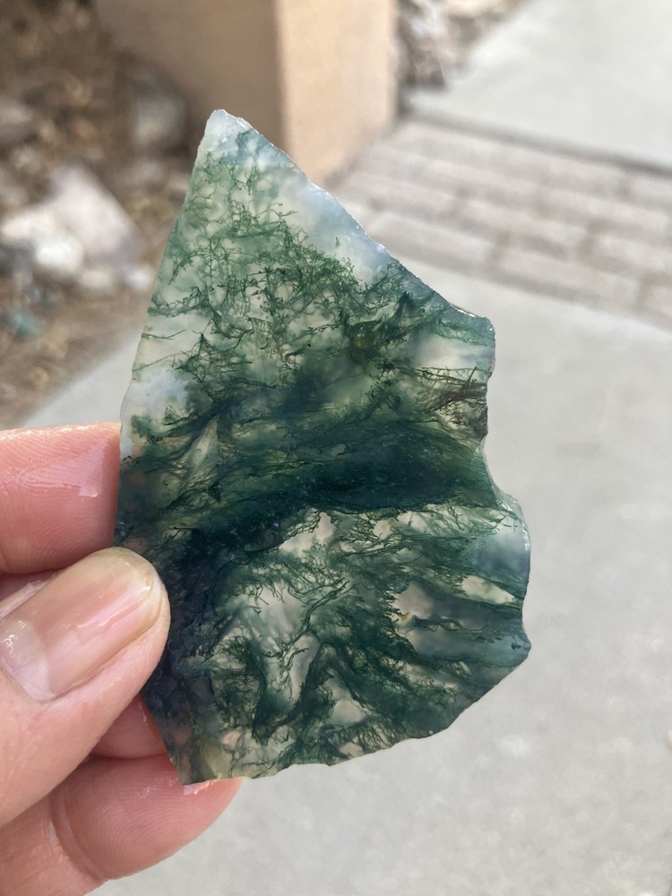 Indian Green Tree Moss Agate Slab