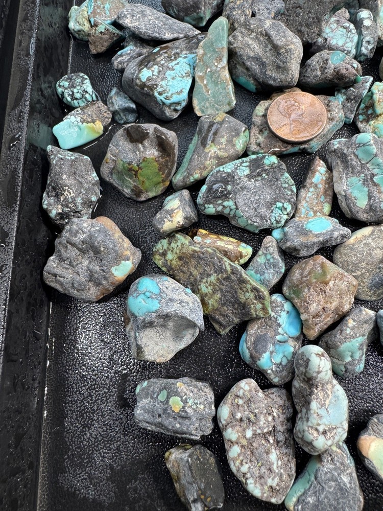 One Pound stabilized Turquoise small nuggets assorted mine free shipping
