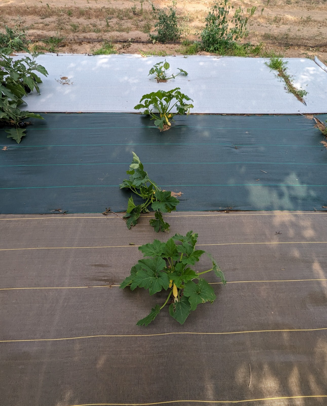 DeWitt GREEN Sunbelt 3.2 ounce Multiple Sizes 2ft, 3ft, 4ft, 6ft & 12ft