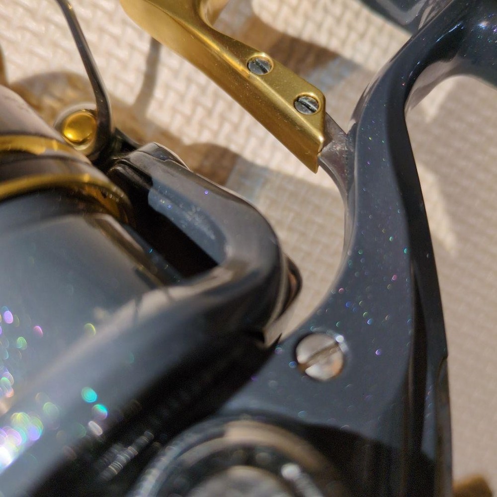 BB-X DESPINA 2500DXG