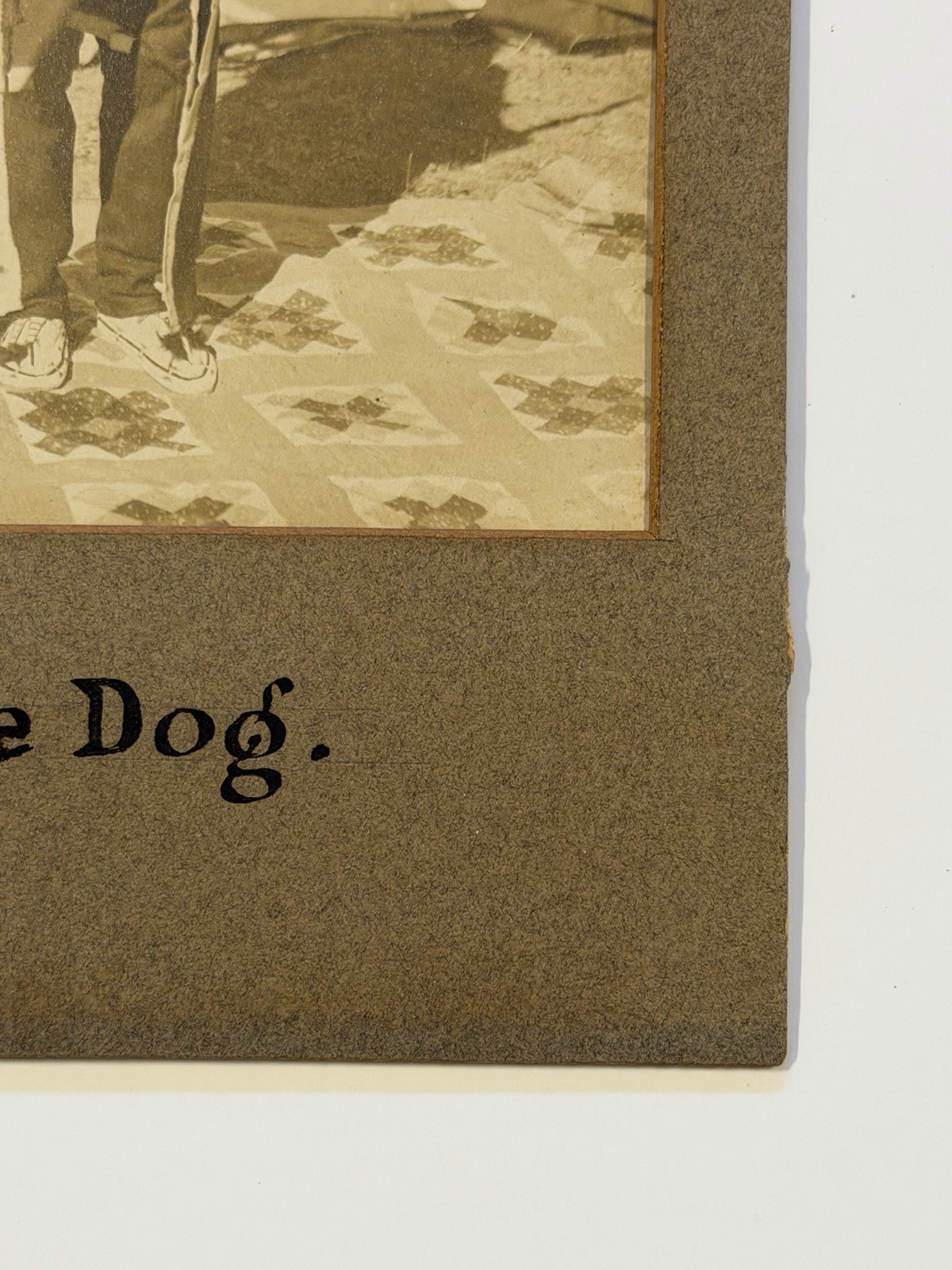 Vintage Native American Cabinet Photo Titled: "Lone Dog"; Early 20th Century