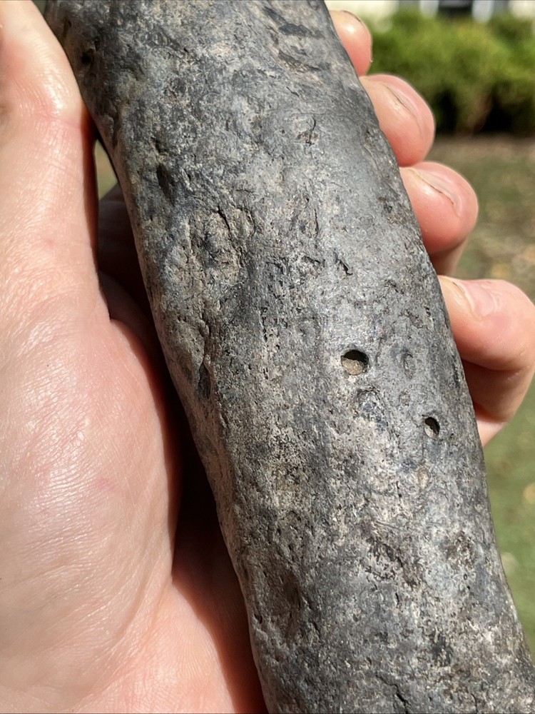 Very Rare Solid Unknown Fossil Segment-Not Modern-read description
