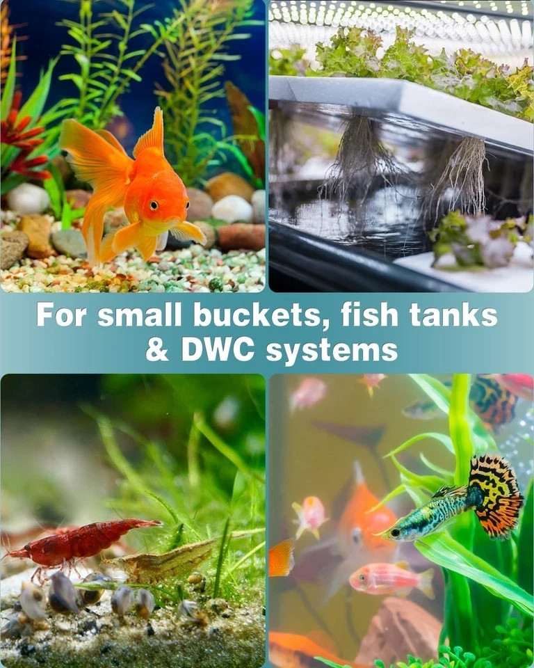 1 Inch Fish Tank Air Stones - Durable Bubble Diffuser for Small Buckets, 10 Pack