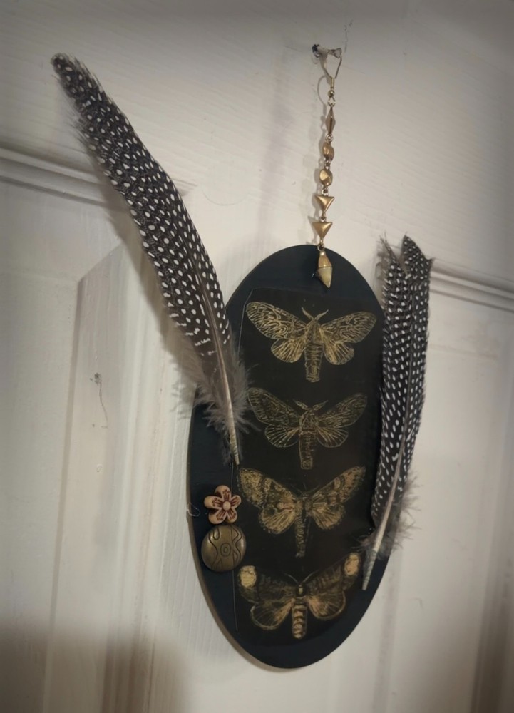 Vertical Moth Oddity Plaque Wall Decor Weird OOAK
