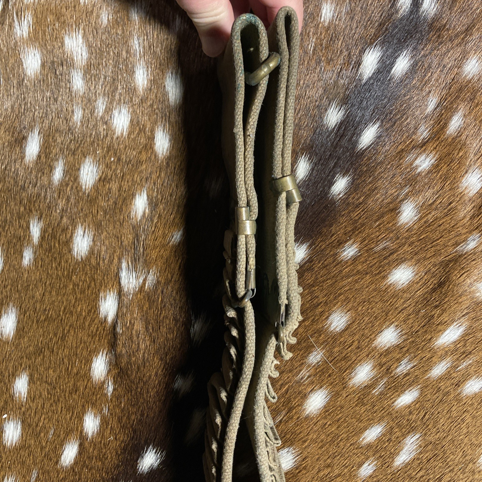 SPANISH AMERICAN WAR U.S. KRAG AMMO CANVAS BELT 45 SLOTS 30-40 Krag ?