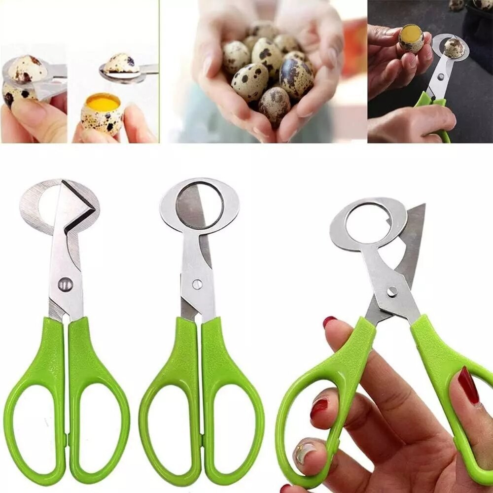 Stainless Steel Quail Egg Scissors Eggshell Opening Divider Scissors Lot