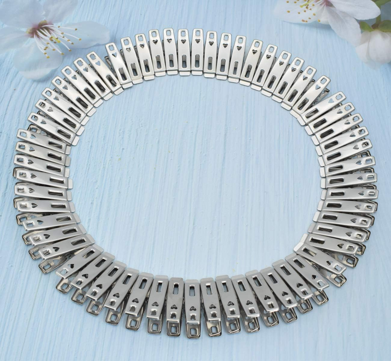 60 PCS Strong Stainless Steel Clothes Pins Metal Laundry Clips with Storage Box