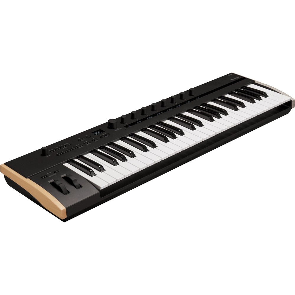 Korg Keystage 49 Poly AT MIDI Keyboard Controller CARRY BAG KIT