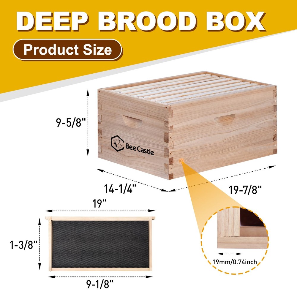 Best BeeCastle 8 Frame Deep Brood Bee Hive Box Langstroth Honey Include Beehive