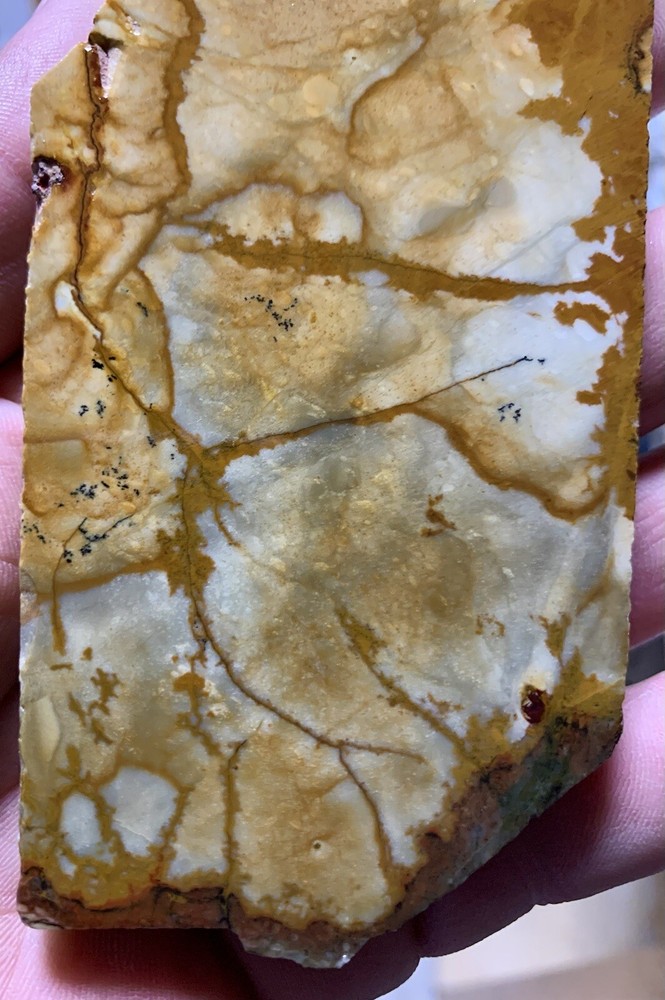 owyhee jasper slab