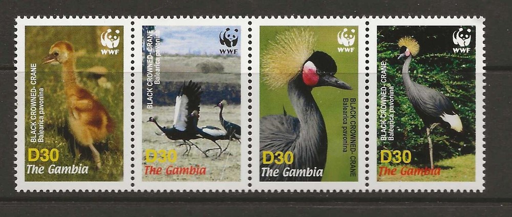 Gambia 2006 birds MNH (c433)