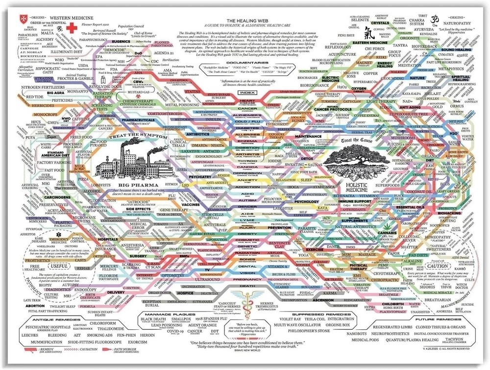 The Healing Web Holistic Medicine Mind Map Chart Poster