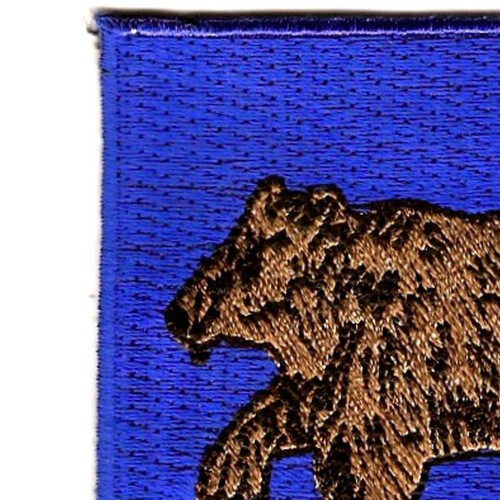 62nd Infantry Regiment Patch