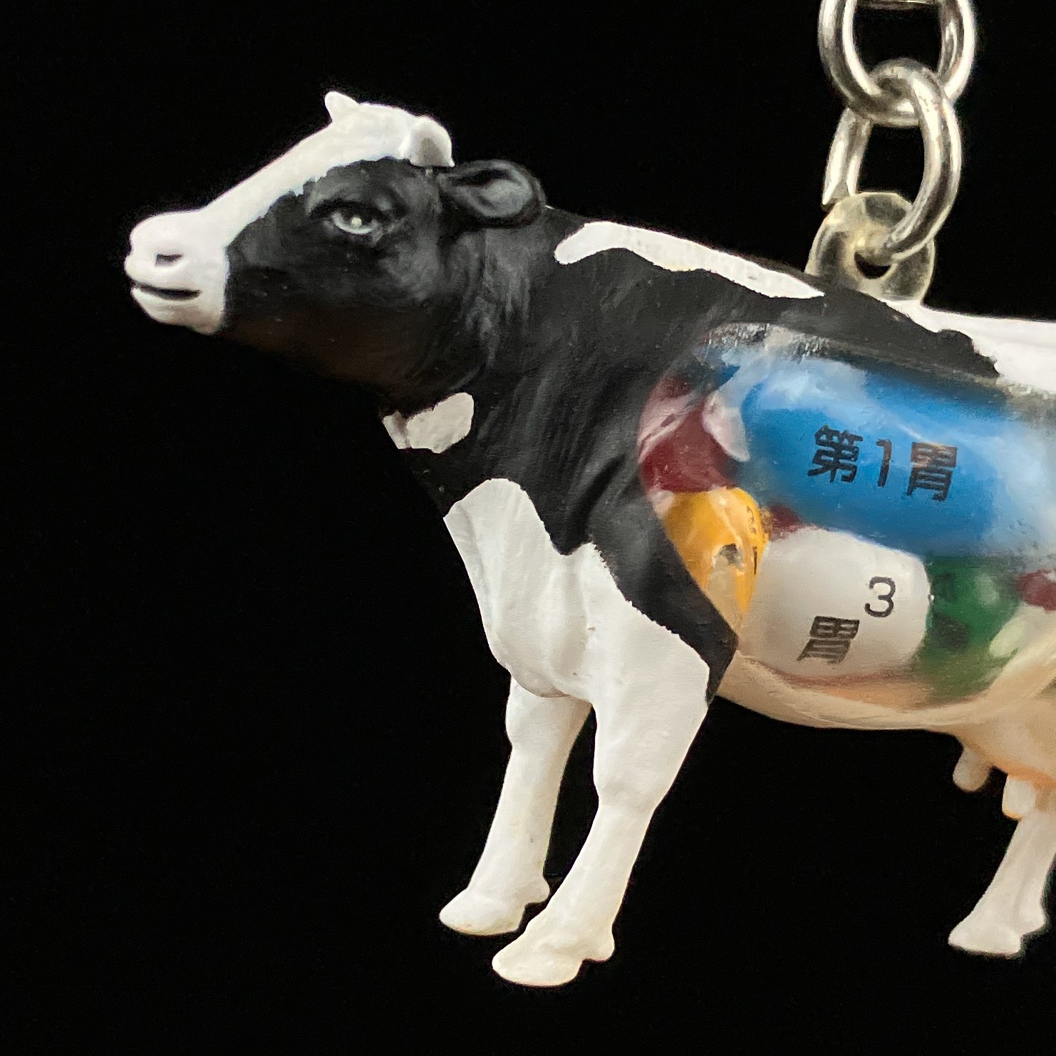 Takara Tomy Yujin Cow Anatomy Fully Visible Edible Animals Strap Keychain Figure
