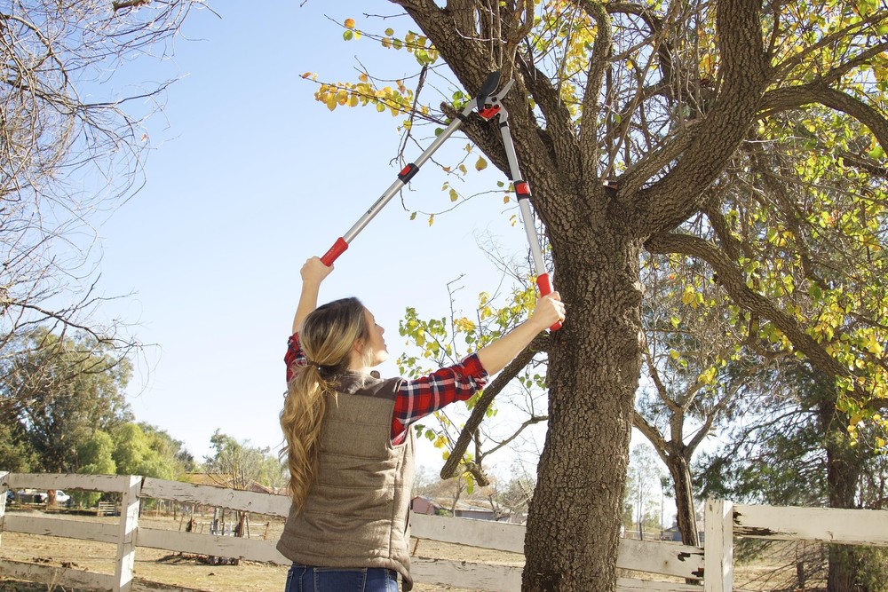 Tools | Branch Cutter DualLINK Extendable Bypass Loppers | Tree Trimmer Cuts ...