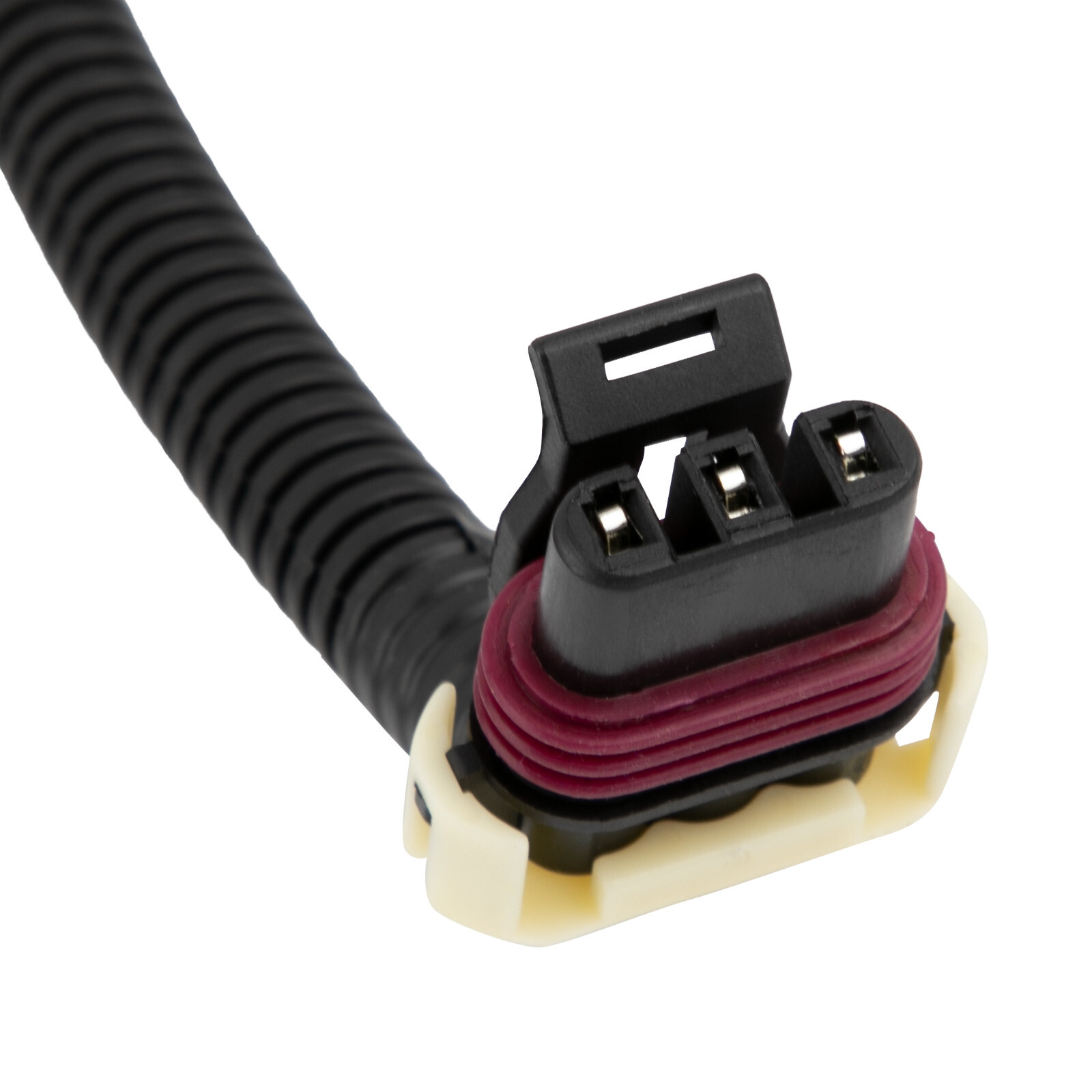 Standalone Harness For T56 Manual Tran 4.8/5.3/6.0l Ls Swap Ls1 Engine 97-06 Dbc