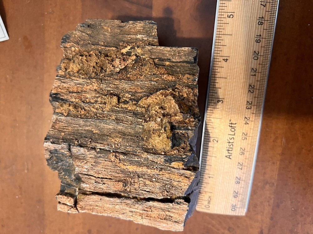 DoBell Ranch Petrified Wood