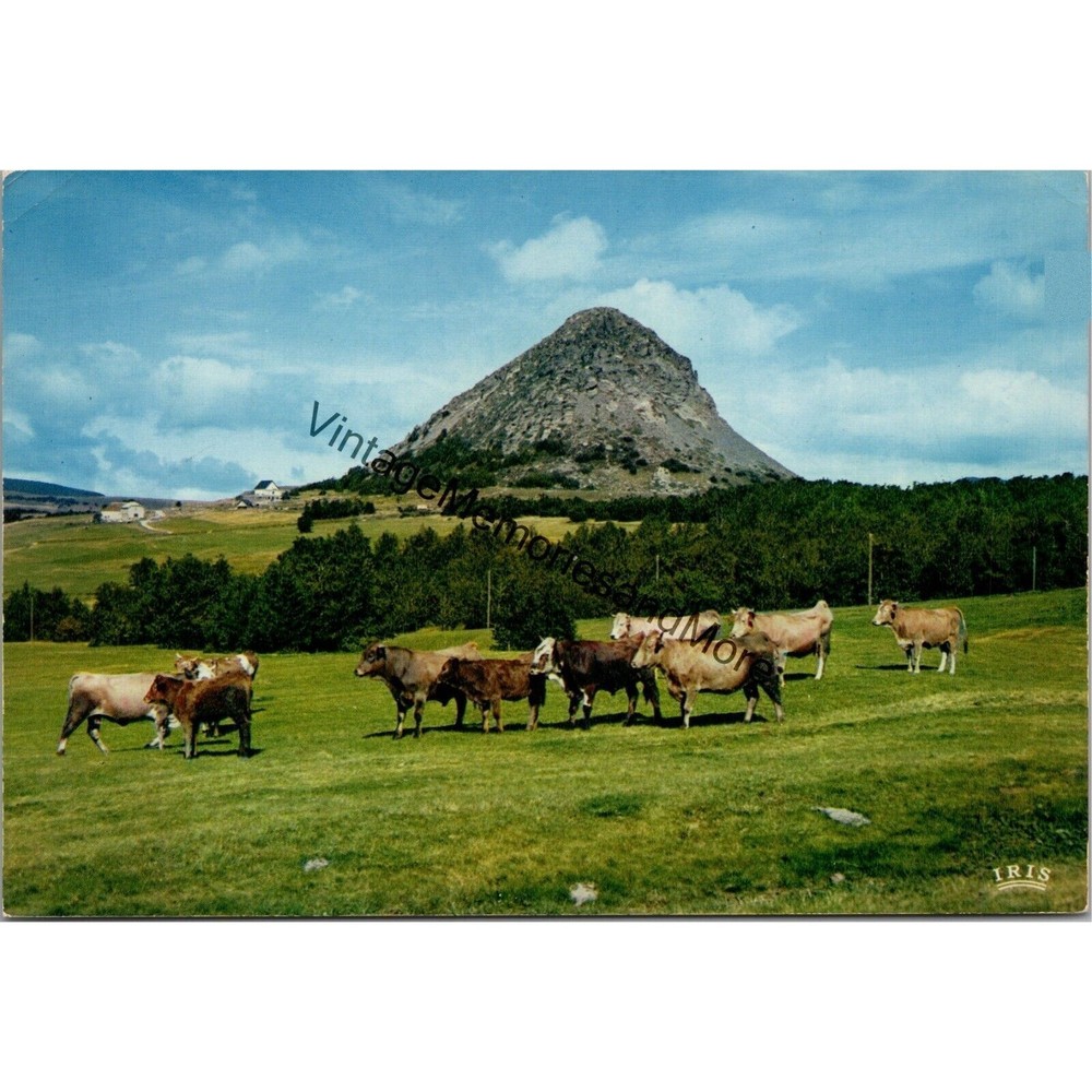 Picturesque Ardeche Postcard PC319